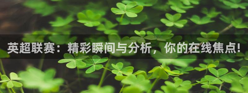 英超联赛：精彩瞬间与分析，你的在线焦点!