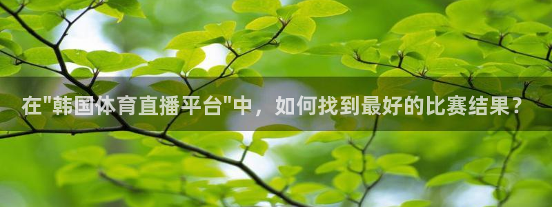 在\