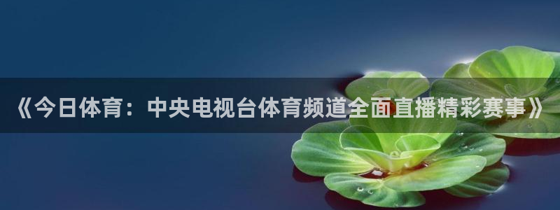 《今日体育：中央电视台体育频道全面直播精彩赛事》
