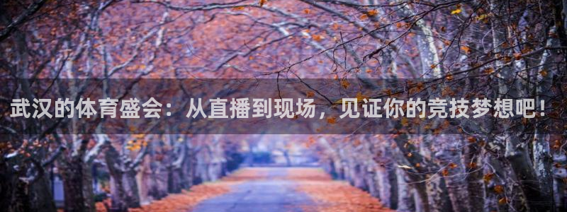 武汉的体育盛会：从直播到现场，见证你的竞技梦想吧！