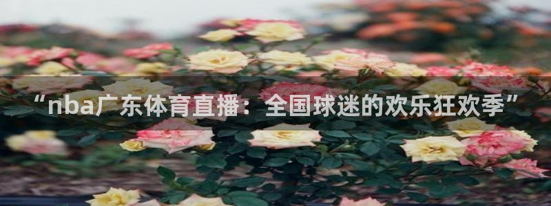 “nba广东体育直播：全国球迷的欢乐狂欢季”